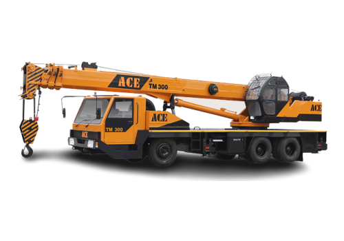 ACE TM 300 Cranes with 0-50 HP Range & Has Cranes Type